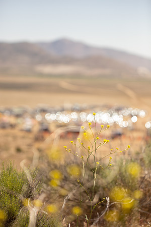 S17R6_SUN-7393