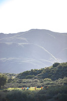 S18_R2_MS-2612