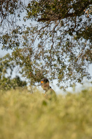 S19_R3_HS-5949