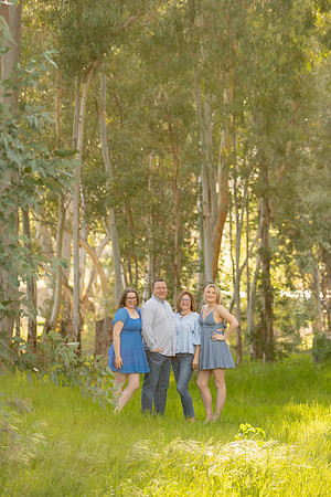 ELLIS-6534